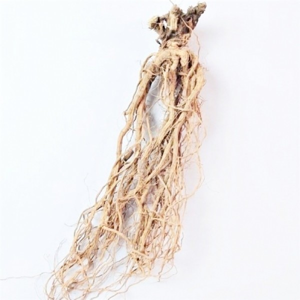 국내산 흰접시꽃뿌리/백계근 (600g)